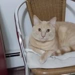 Alfred Lui - @shinalboma - Instagram
