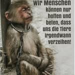 Alfred Maas - @alfred_maas - Instagram