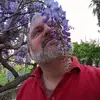 Alfred Marco - @fredhkjch9p - TikTok
