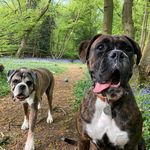 Alfred and Marcus - @alfandmarcus - Instagram