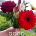 Alfred Mclean - Facebook
