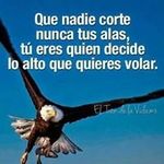 alfredo mesa - @alfredo_mesa_hernandez - Instagram