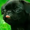 Alfredo_mesa - @alfredo_mesa - TikTok