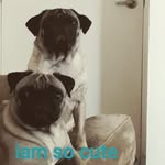 Butch Candido Mesa - @alfred_mesa - Instagram