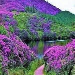 Alfred Miles - @alfred12374 - Instagram