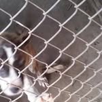 Alfred Miles - @alfred.miles.127 - Instagram
