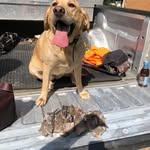 Alfred Vernon Mullins - @alfred.v.mullins - Instagram