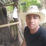 Alfred Navarro - @alfrednavarro11 - Instagram