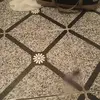 Alfred Nunes9 - @alfred.nunes09 - TikTok