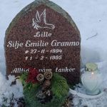 Alfred Olsen - @olsen.alfred - Instagram