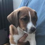 Alfred Olsen - @alfred_olsen_2018 - Instagram
