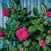 alfredolsenslouch - @alfredolsenslouch - TikTok