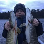 Alfred - @alfred.ottosson - Instagram