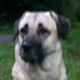 Alfred Otten - Facebook