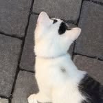 Alfred Otto - @alfred.otto - Instagram