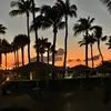 alfredotte89 - @alfredotte89 - TikTok