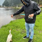 Alfred Park - @alfredo.cuetosroman - Instagram