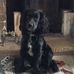 Alfred Parker - @alfredparker5595 - Instagram