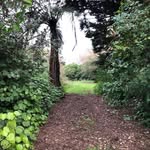 Kev - @alfred_park_tbr - Instagram