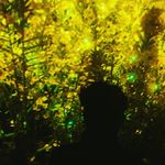 Seong Hyeon Alfred Park - @curiouscaseofalfred - Instagram