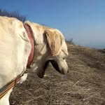 Yana Karkalicheva - @alfred_pateto - Instagram