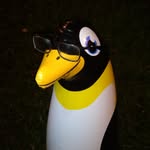 Alfred Penguin - @alfredpenguin - Instagram