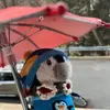 Alfredo the PENGUIN 🐧 - @alfredo.the.pengu - TikTok