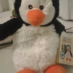 Mr. Alfred - @mr.alfredpenguin - Instagram