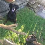 Pierre + Alfred Hammond - @bigstickpics - Instagram