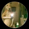Alfred Polanco - @alfred.polanco0 - TikTok