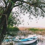 Alfred Porter 856 - @mestanmayhos_469268 - Instagram
