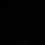 Fred - @____alfred__reimer____ - Instagram