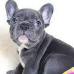 Alfred RIchardson - @alfrich1307 - Instagram