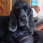 Jason Alfred Schultz - @jasonalfredschultz - Instagram