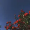 Alfred Sidney - @alfred.sidney22 - TikTok