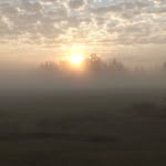 Alfred Simpson - @alfred.simpson.779 - Instagram