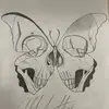 alfred_sin - @alfred_sin - TikTok