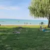 alfredpoisinger - @alfredpoisinger - TikTok