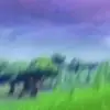 alfred smithsonton - @alfred.smithsonto - TikTok