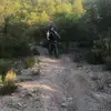 Alf.Solberg - @vonmaprfnch - TikTok