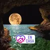 Alfredo Soliman - @alfredosoliman - TikTok