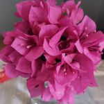 Alfred Specht - @alfred_9759 - Instagram