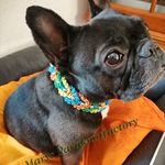 Alfred Springer - @maryhsp2020 - Instagram