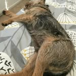 alfred Stapleton - @stapletonalfred - Instagram