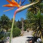 Alfred Staubmann - @alfredstaubmann - Instagram