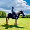 alfredswoffmister - @alfieswoff15 - TikTok