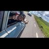 Affe - @alfredstrandberg - TikTok