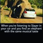 Alfred Strand - @alfredstrand - Instagram