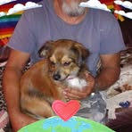 Alfred Stratton - Facebook