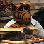 alf - @alfred.tanner - Instagram